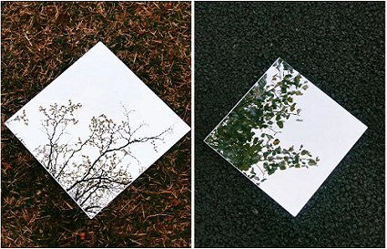 沈阳摄影学校_一片树叶的4种别样拍法，你常用哪种